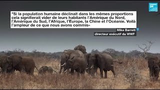 La Terre a perdu 60  de ses animaux sauvages en moins dun demisiècle selon WWF [upl. by Clement]