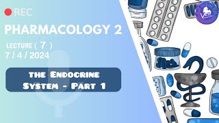 Pharmacology 2  Pharmacology of The Endocrine System  part 1 [upl. by Lovash]