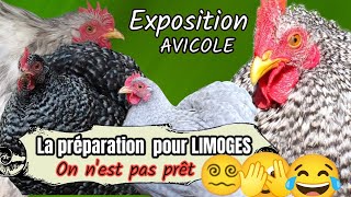 EXPOSITION AVICOLE 2023 A LIMOGES la préparation [upl. by Ecyt769]