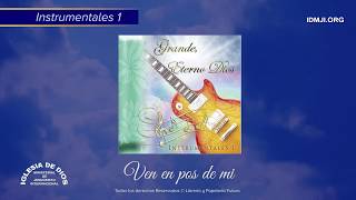 Instrumental Ven en pos de mi  IDMJI [upl. by Nirehtac]