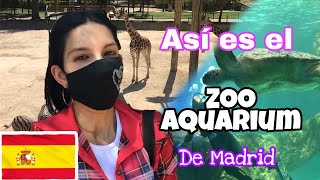 Visitando el ZOO AQUARIUM de Madrid 2021 🐼  Mira qué animal no hay en el zoo [upl. by Micheline]