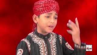 MERI JAAN ALI  MUHAMMAD FARHAN ALI QADRI  OFFICIAL HD VIDEO  HITECH ISLAMIC  BEAUTIFUL NAAT [upl. by Doniv168]