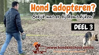 Hond adopteren deel 3 [upl. by Troth944]