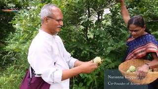 The Aranya story turning barren land into a food forest using permaculture [upl. by Notse]