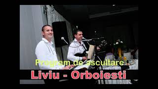 Cinea pus carciuman drumProgram de ascultareLiviu de la Orboiesti melodii vechi [upl. by Dupre383]