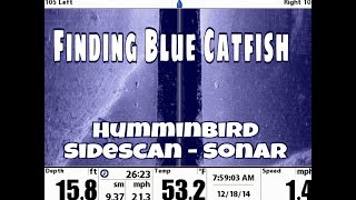 Finding Blue Catfish on Sonar with Catfish Guide Michael Littlejohn Lake Tawakoni [upl. by Malkin]