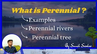 Meaning of Perennial  Understand what is perennial with example  Exam Ready Sunil Sardar [upl. by Macy]