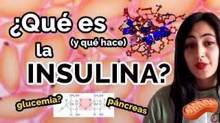 ¿Cómo funciona la INSULINA 🍦💉 ¿Qué es la GLUCEMIA [upl. by Rawley]