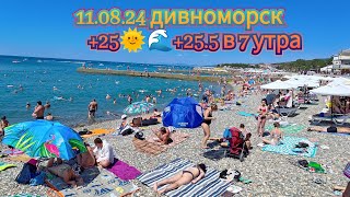 110824 25🌞🌊255 в 7 утра Ykov Bonar в прямом эфире [upl. by Elkraps]