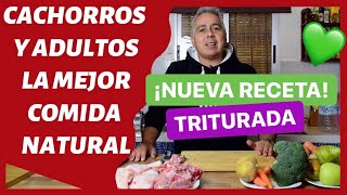 ¡COMIDA NATURAL para CACHORROS Y ADULTOS 💚► NUEVA RECETA TRITURADA 😏 DIETA BARF [upl. by Norry840]