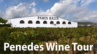 Penedes Cava Wine Tour Barcelona Spain [upl. by Yesdnyl968]