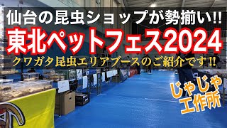 東北ペットフェス 仙台のクワカブ専門店が勢揃い！ [upl. by Fachanan]