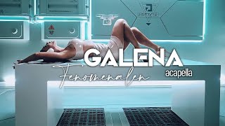 Galena  Fenomenalen Acapella [upl. by Branch]