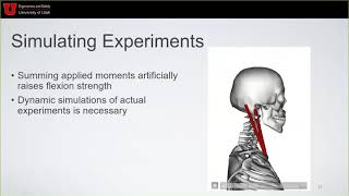 Webinar MuscleLigament Model of the HeadNeck to Study Physiological Motions amp Dynamic Impacts [upl. by Ylas299]