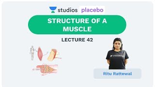 Phoenix 20 Biology Most Important Video for NEET 2025  Udaan [upl. by Treble948]