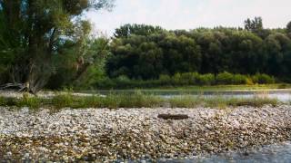 Nichts berührt uns wie das Unberührte Nationalpark DonauAuen [upl. by Ydnih709]