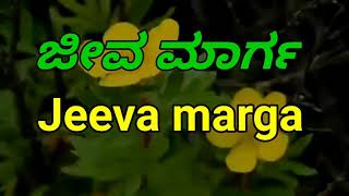 Kannada Naanu prarthane maduvaga song lyrics [upl. by Gratiana192]