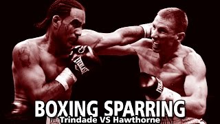 Sparring de Boxe  Trindade VS Hawthorne [upl. by Onairot]