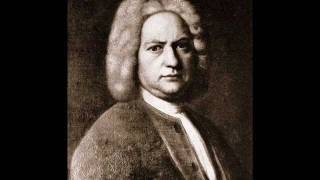 Johann Sebastian Bach  Brandenburg Concerto No 3 AllegroAdagio [upl. by Forta269]