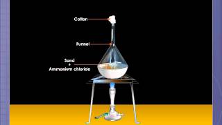 Double Displacement Reaction of Ammonium Chloride and Sodium Hydroxide [upl. by Grizel]