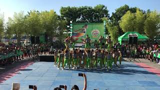 DAVAO CITY NATIONAL HIGH SCHOOL MILO MARATHON CHEERDANCE COMPETITION 2019  1ST RUNNER UP [upl. by Fredenburg]