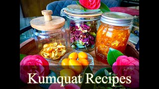 Kumquat Recipes [upl. by Enelegna718]