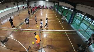 2024 R5 VDL2 Anglesea Angels vs Footscray Dodgesaurus Pink [upl. by Pachston]