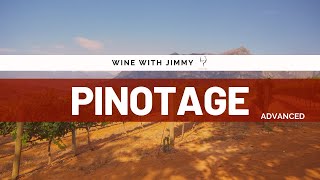 Grape Varieties  Pinotage Advanced Version ideal for WSET Level 3 and Level 4 WSET Diploma [upl. by Nuahsel]