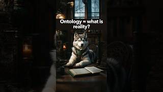 What is ontology researchmethods research shorts shortvideo learning philosophy [upl. by Redford]