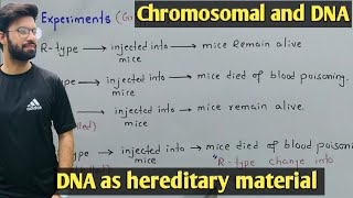 DNA as hereditary material  Hershey and chase experiment  Class 12 Biology [upl. by Grishilde]