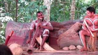 Aboriginal Dance  Kuranda QLD [upl. by Amos384]