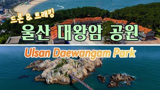 울산 대왕암 공원 트래킹 드론영상 풀버젼  Full version of Ulsan Daewangam Park in South Korea by drones [upl. by Laenej277]