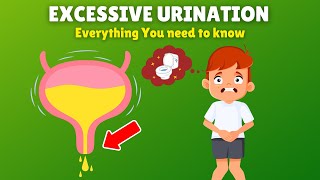 Urinating Too Much Here’s What Your Body Is Telling You [upl. by Ahtibat]