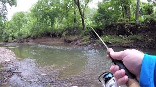 CREEK Fishing with ULTRALIGHT Setup [upl. by Tomchay]