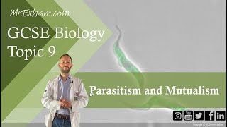 Parasitism and Mutualism  GCSE Biology 91 94 [upl. by Modla]