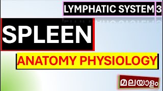 Spleen Malayalam Spleen Anatomy Physiology Malayalam lymphatic system Malayalam [upl. by Calvinna838]