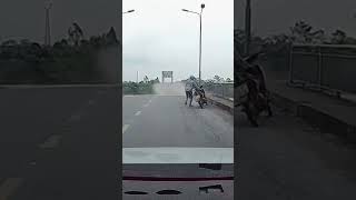 Bridge Collapses After Typhoon Yagi Hits Vietnam  10 News First [upl. by Gaudette649]