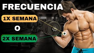 ¿Cuántas veces ENTRENAR cada GRUPO MUSCULAR por SEMANA Según tu NIVEL [upl. by Mendelson]