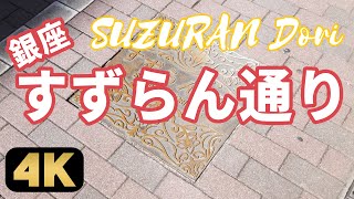 【すずらん通り】DSM GinzaやBarneys等がある銀座のファッションストリート”鈴らん通り”を歩く [upl. by Adlaremse919]