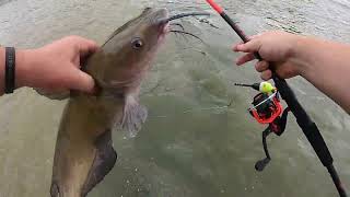 Fishing The Maumee  Monster of the Shallows Part 1 [upl. by Conn]