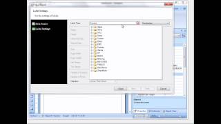 Creation Report with Label Wizard  Stimulsoft Reports  Shot on version 20121 [upl. by Garrett549]