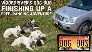 WooFDivers DOG BUS as we Finish Up a FreeRanging OffLeash Adventure [upl. by Nileuqaj]