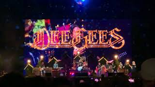 Foo Fighters  You Should Be Dancing  Lollapalooza 2021  BeeGees Cover [upl. by Regazzi]