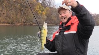 How to Catch Perch  Perch Tips using Live Minnows [upl. by Asiil]