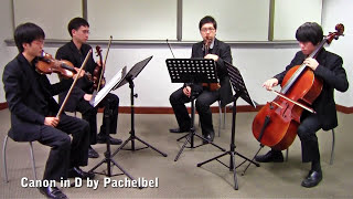 Canon in D by Pachelbel Vetta Quartet from Singapore [upl. by Noir]