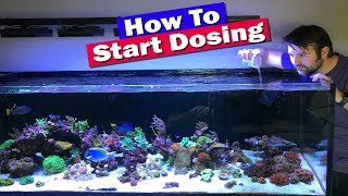 How to Start Dosing Your Reef tank [upl. by Juna]