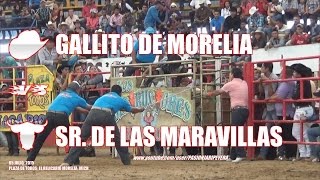 21 DESTRUCTORES DE MEMO OCAMPO vs SANGRE GRA NIÑOS DE LA SIERRA Y GENIOS DE GTO MORELIA [upl. by Tommi867]