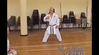 Yamani Ryu Kobudo Sai 26 Feb 2010mpg [upl. by Akemej]