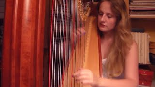 The Cranberries  Zombie Harp Cover [upl. by Imefulo]