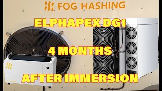 DG1 ELPHAPEX MINING DUNKED IN FOGHASHING C6 TANK AFTER 4 MONTH UPDATE FIRMWARE V104 Update [upl. by Leinahtam]